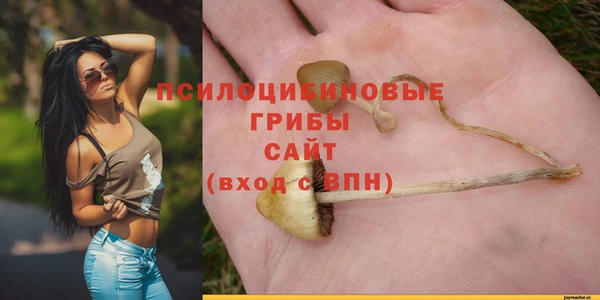 Альфа ПВП Арсеньев