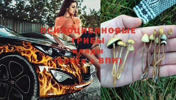 мескалин Армянск